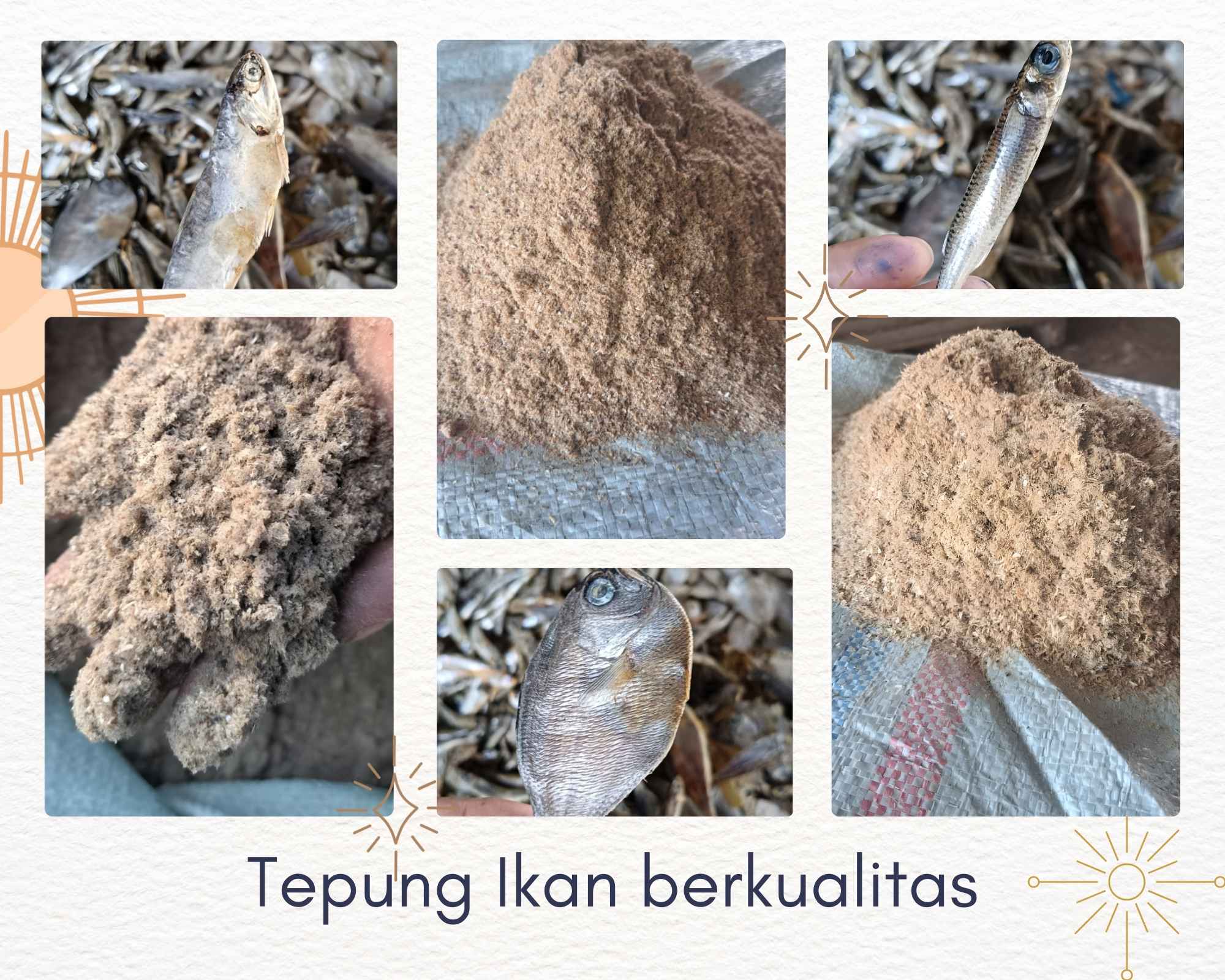 Produk Tepung Ikan